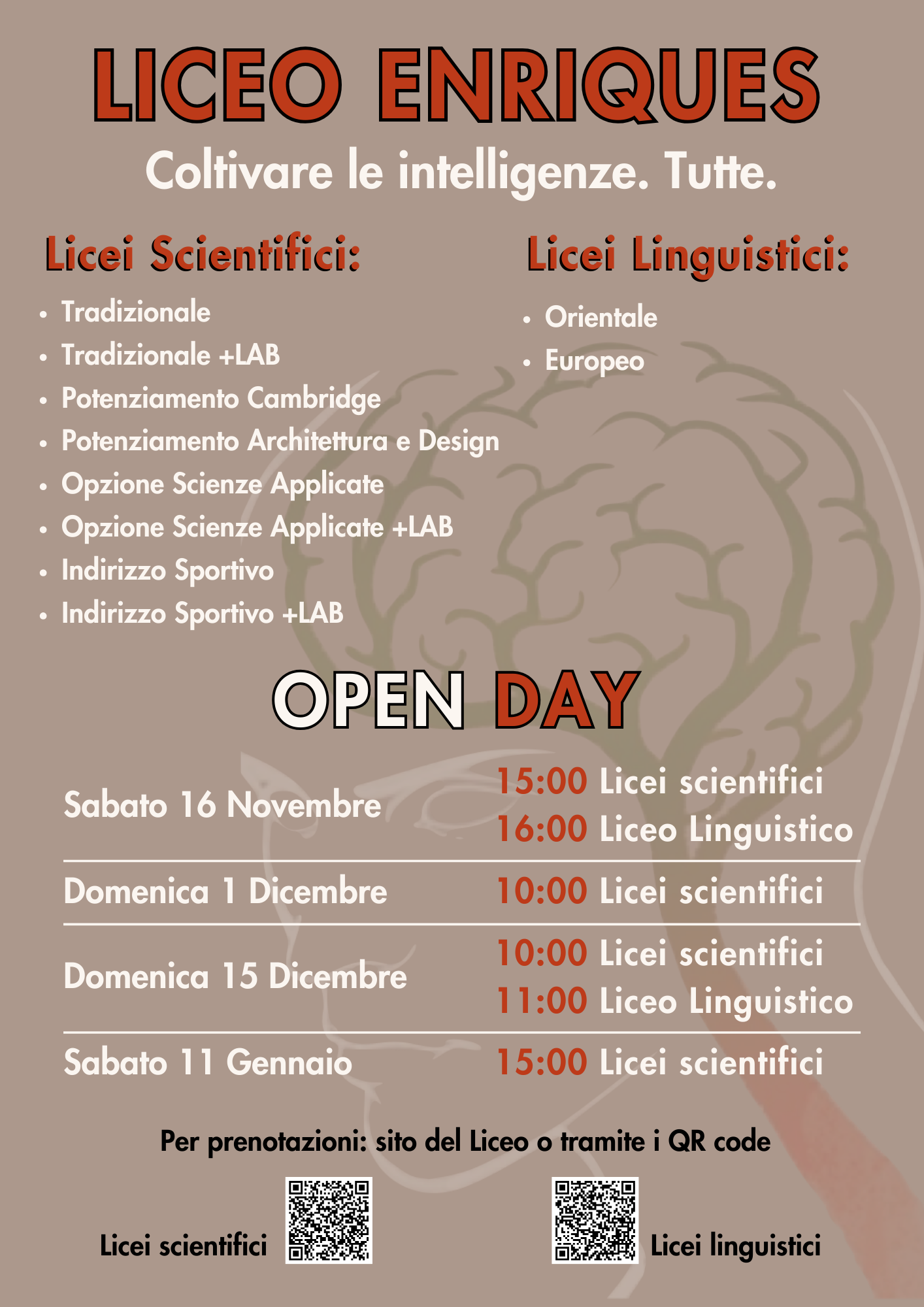 immagine di presentazione degli indirizzi di studio del liceo enriques e date degli open day